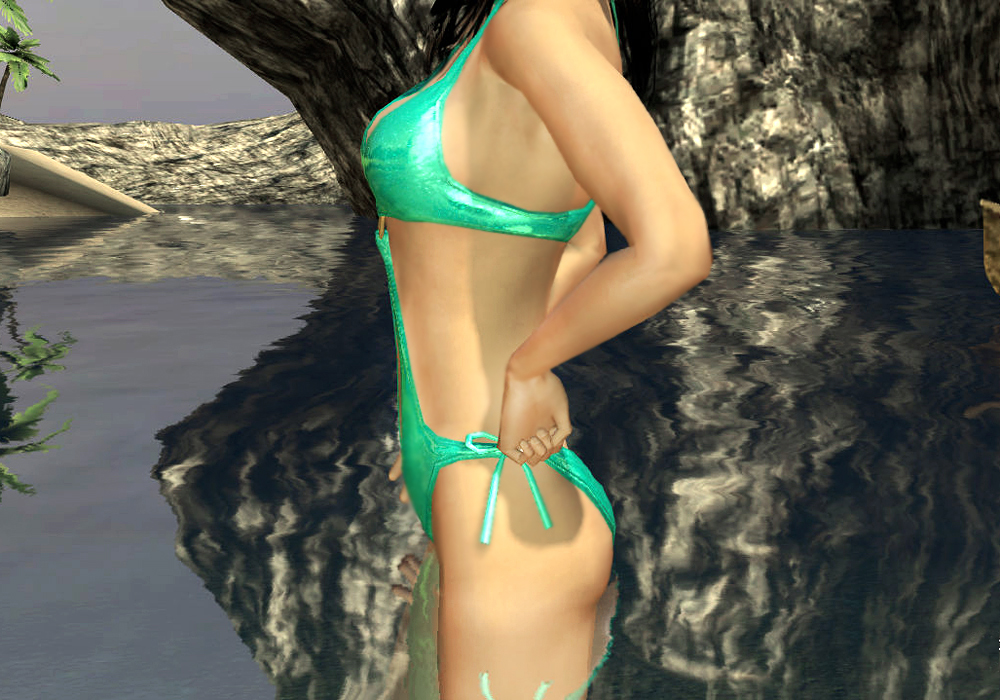 The Ladies Fashion Runway, Jan 16, 2011, 3:30 PM, YourPSHome.net, 1525