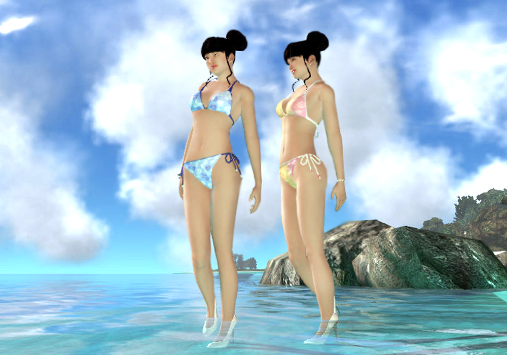 The Ladies Fashion Runway, Jan 16, 2011, 3:30 PM, YourPSHome.net, 1525