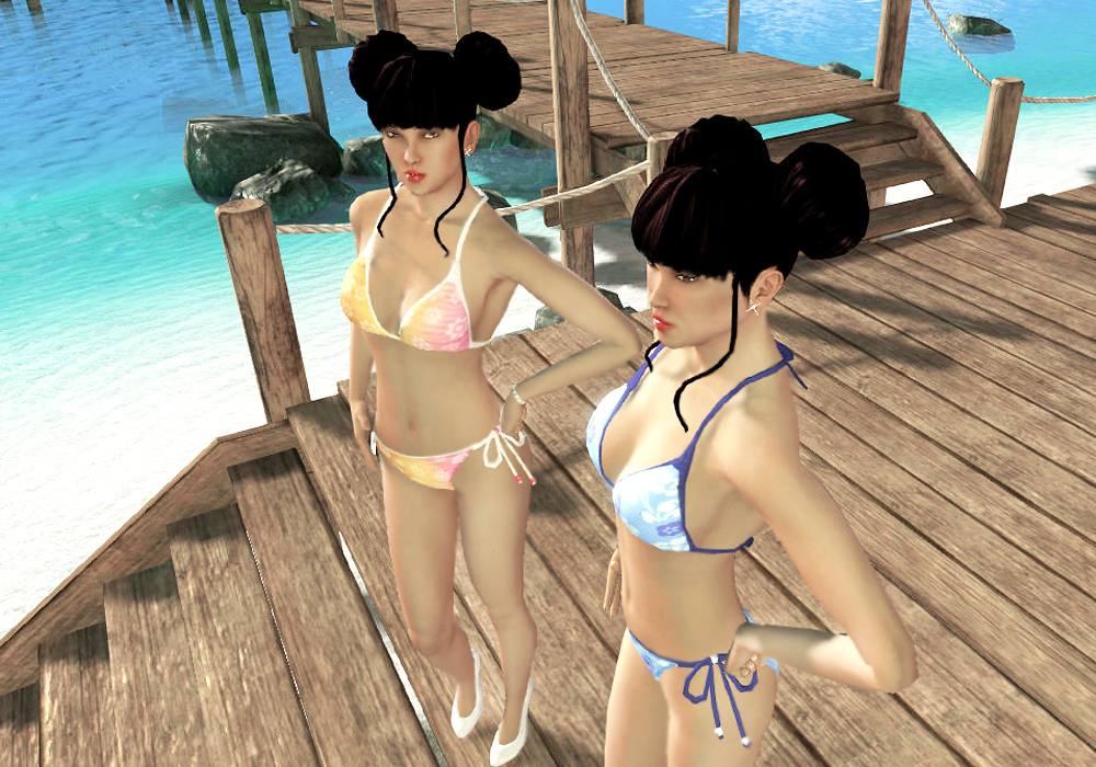 The Ladies Fashion Runway, Jan 16, 2011, 3:30 PM, YourPSHome.net, 1525