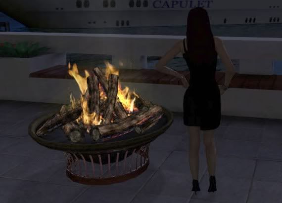 The Ladies Fashion Runway, Jan 16, 2011, 3:30 PM, YourPSHome.net, 1525