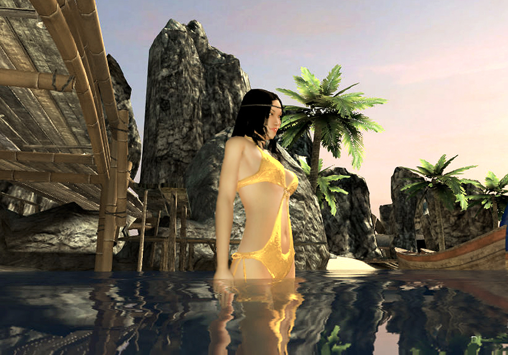 The Ladies Fashion Runway, Jan 16, 2011, 3:30 PM, YourPSHome.net, 1525