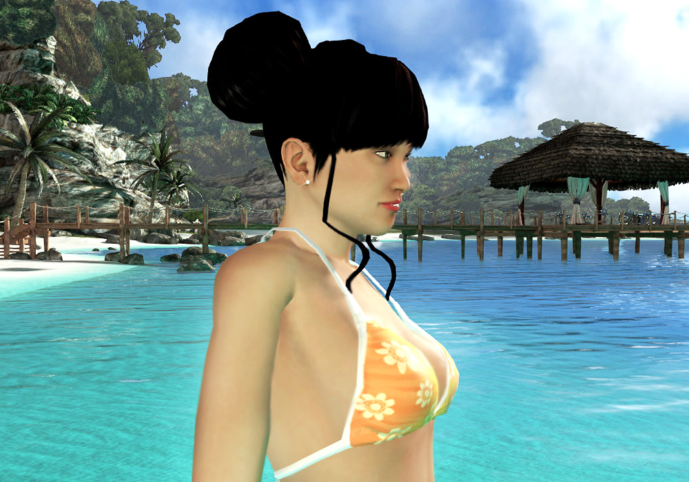 The Ladies Fashion Runway, Jan 16, 2011, 3:30 PM, YourPSHome.net, 1525