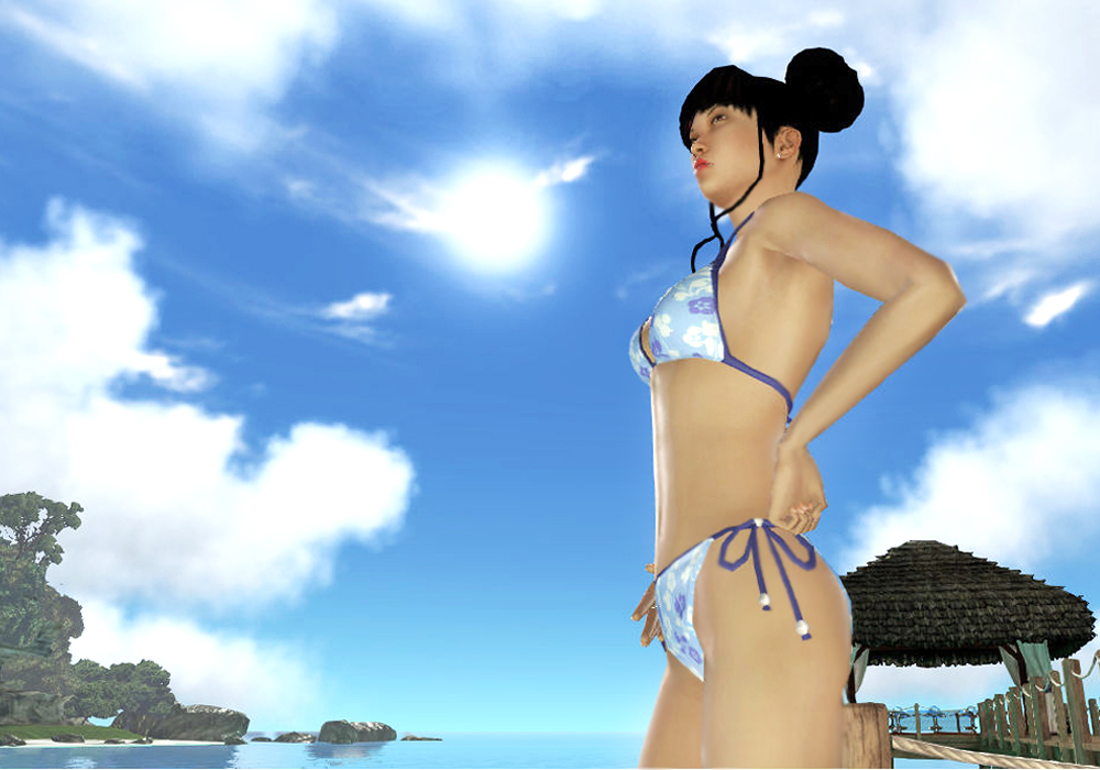 The Ladies Fashion Runway, Jan 16, 2011, 3:30 PM, YourPSHome.net, 1525