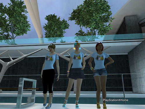 The Ladies Fashion Runway, Jan 16, 2011, 3:30 PM, YourPSHome.net, 1525