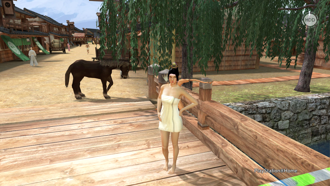 The Ladies Fashion Runway, Jan 16, 2011, 3:30 PM, YourPSHome.net, 1525