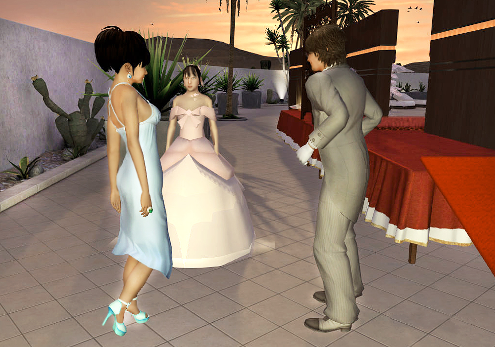 The Ladies Fashion Runway, Jan 16, 2011, 3:30 PM, YourPSHome.net, 1525