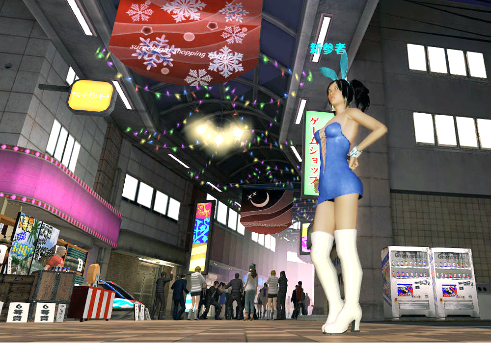 The Ladies Fashion Runway, Jan 16, 2011, 3:30 PM, YourPSHome.net, 1525