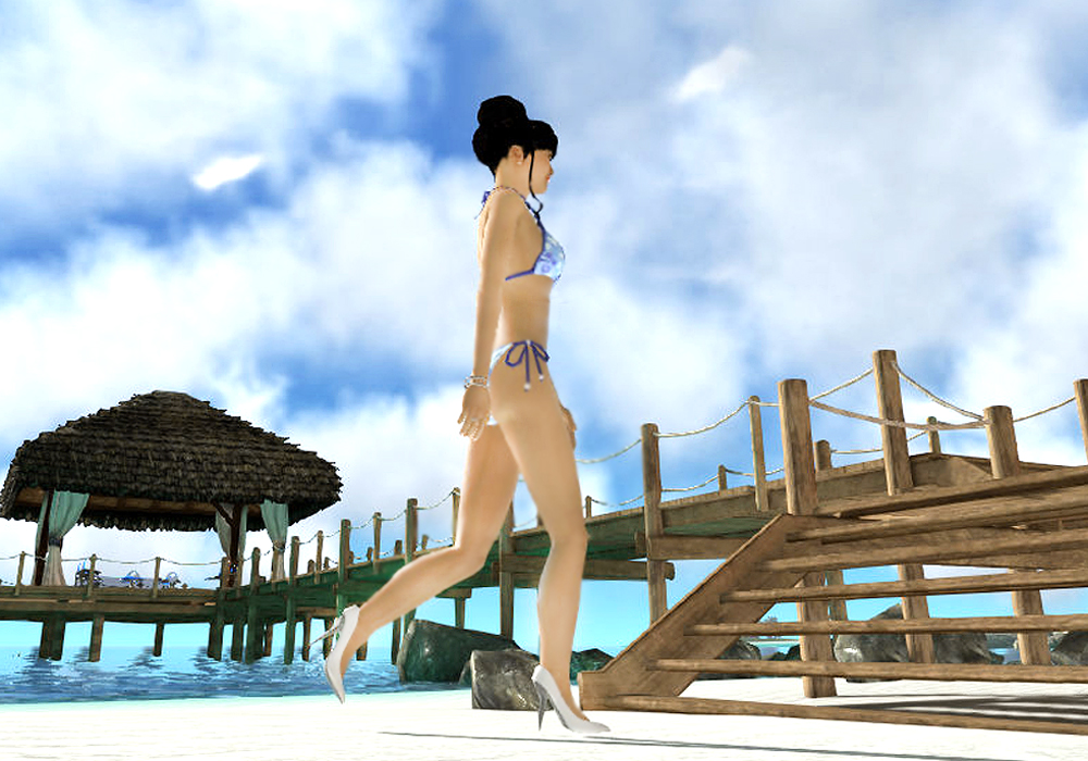 The Ladies Fashion Runway, Jan 16, 2011, 3:30 PM, YourPSHome.net, 1525