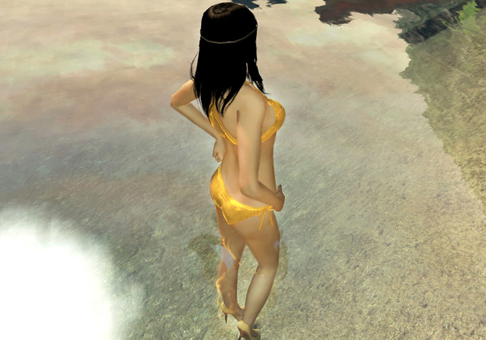 The Ladies Fashion Runway, Jan 16, 2011, 3:30 PM, YourPSHome.net, 1525