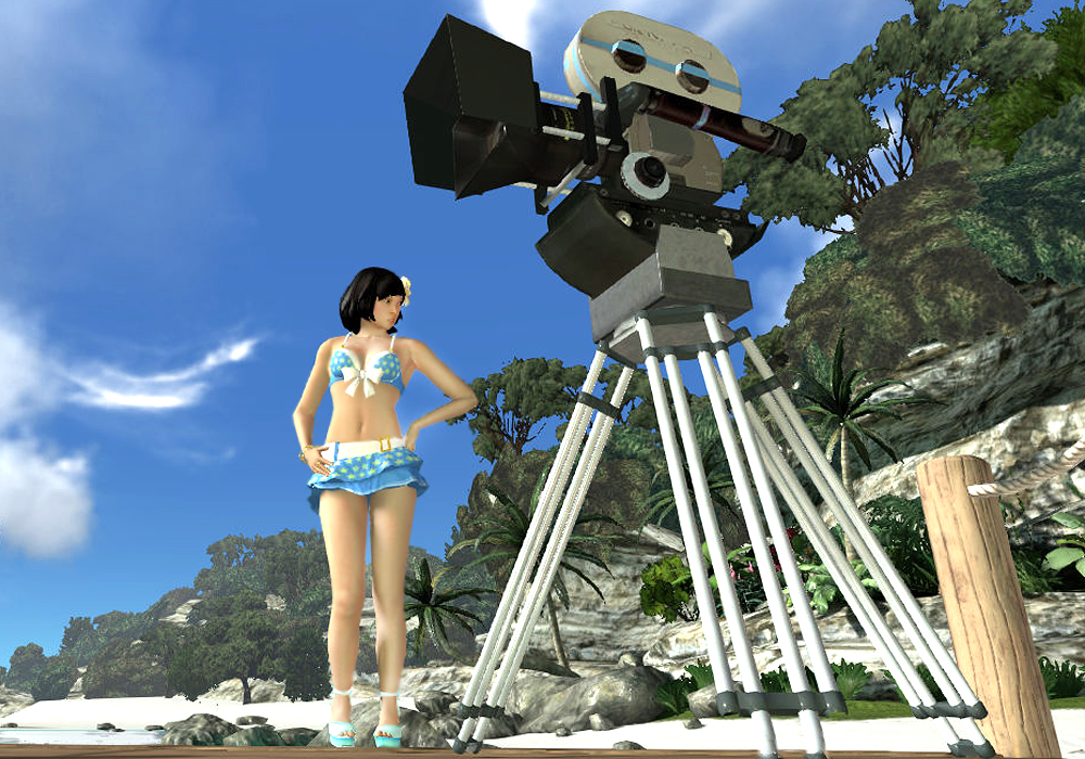 The Ladies Fashion Runway, Jan 16, 2011, 3:30 PM, YourPSHome.net, 1525