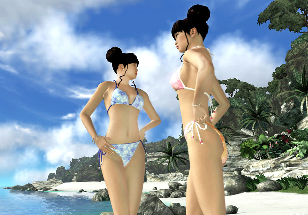 The Ladies Fashion Runway, Jan 16, 2011, 3:30 PM, YourPSHome.net, 1525