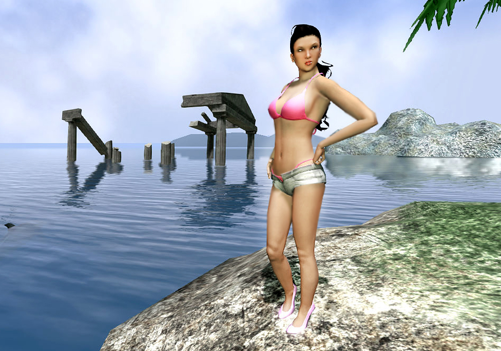 The Ladies Fashion Runway, Jan 16, 2011, 3:30 PM, YourPSHome.net, 1525